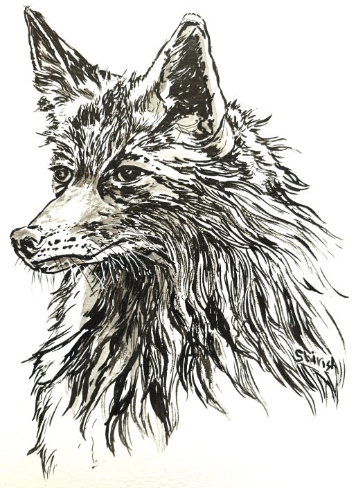 Dibujo retratos de animales con bolígrafo y tinta