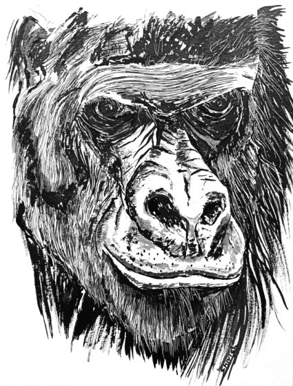 Drawing Animal Portraits in Pen and Ink