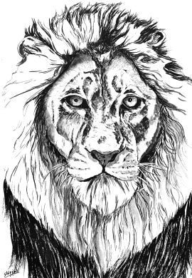 Drawing Animal Portraits in Pen and Ink